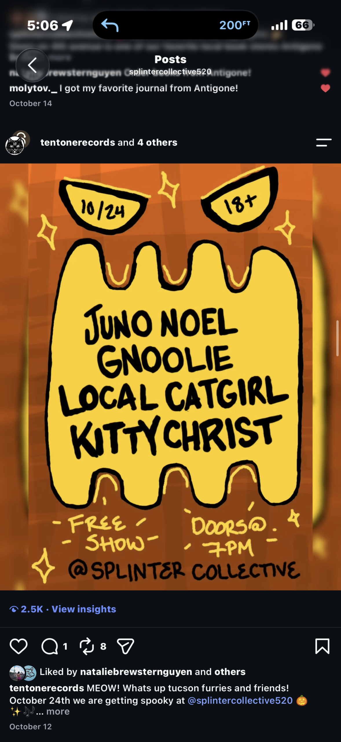 Kitty Christ, Gnoolie, Local Catgirl, Juno Noel